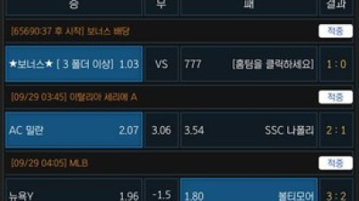 행인 (hin-001.com) 사이트 피해 제보 접수