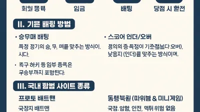 국내 스포츠 토토사이트 사용방법 총정리