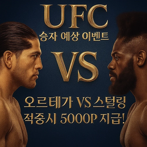 8월23일 UFC 오르테가 VS 스털링