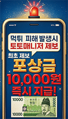 토토먹튀